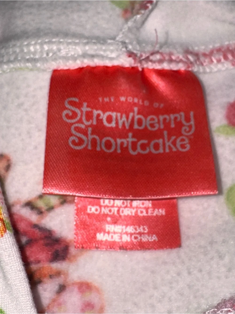 The World of Strawberry Shortcake world strawberry